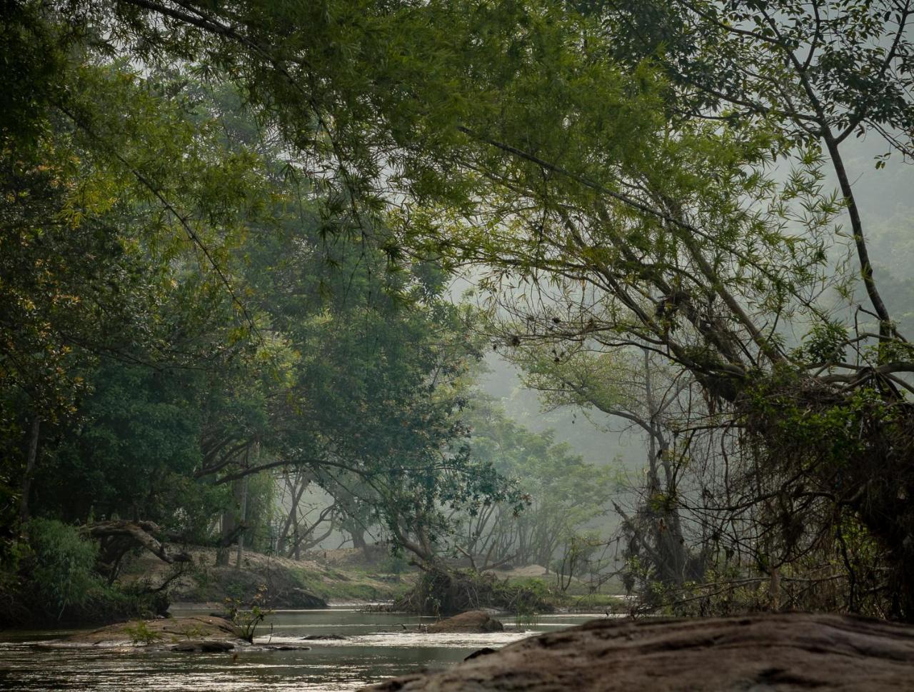 Quiet By The River- Cgh Earth Thodakayam Exteriér fotografie
