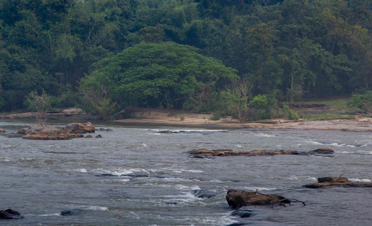 Quiet By The River- Cgh Earth Thodakayam Exteriér fotografie